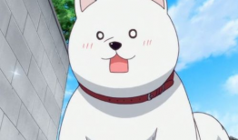 动漫里狗的名字,守护者之影