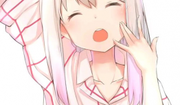 埃罗阿芒老师动漫,穿越次元的爱恋与冒险之旅