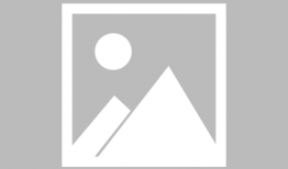 电视剧沉香,千年古树的传奇守护